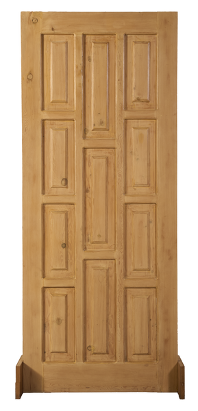 Classic 11-Panel Skin Door – Elegant Rectangular Design