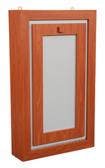Modern Wall-Mounted Fold-Out Desk with Storage