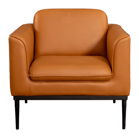 Modern Armchair with Metal Frame