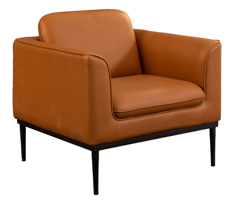 Modern Armchair with Metal Frame