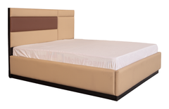 Dual-Tone Upholstered Bedset