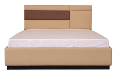 Dual-Tone Upholstered Bedset